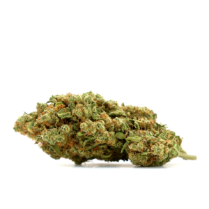 Compre flores Mimosa CBD, na Greenery