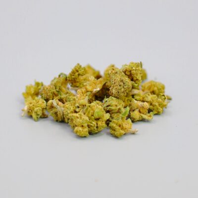 Pequenas cabeças de Strawberry Kush CBD com tons verdes e pistilos laranja