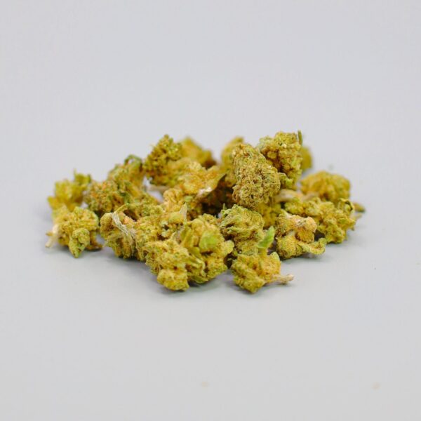 Pequenas cabeças de Strawberry Kush CBD com tons verdes e pistilos laranja