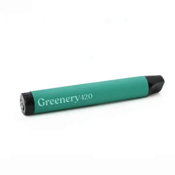 Vaper CBD Cacto - Image 2
