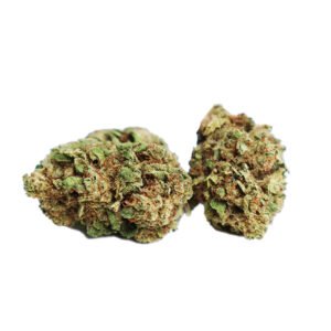 OGKUSH-2