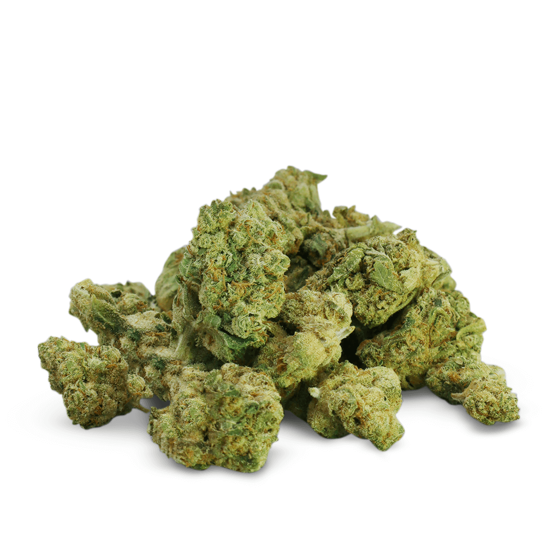 Pequenos botões de Amnesia Hydro CBD premium. Botões de pipoca de flores CBD