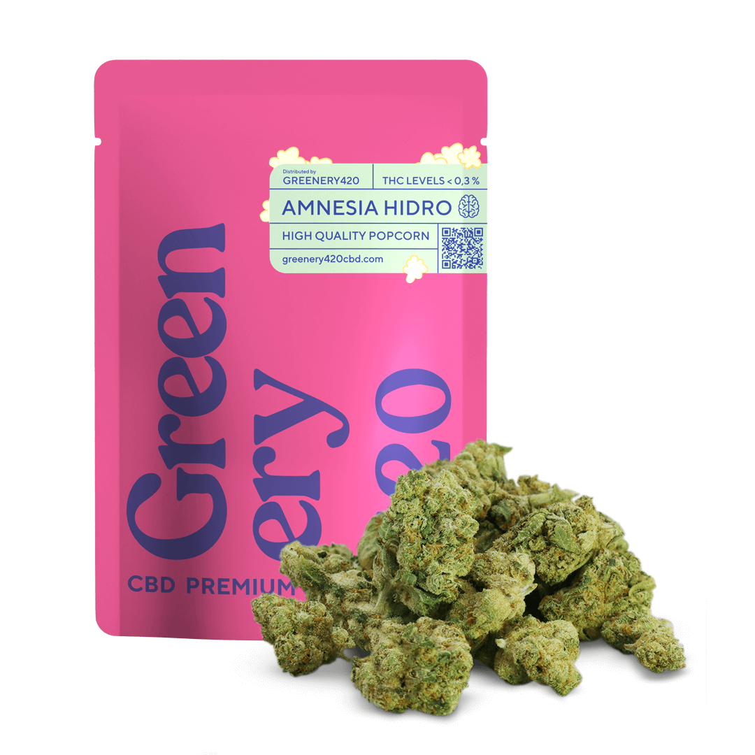 Cogollos pequeños de Amnesia Hidro CBD premium. Pipoca Cogollos CBD Flora