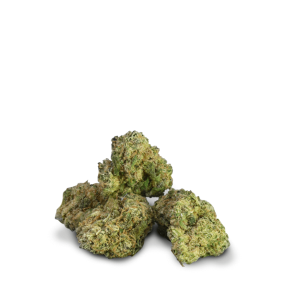 Pequenos botões de Jet Fuel Gelato CBD.