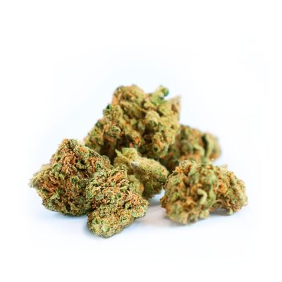 Nova pipoca de mirtilo com botões de qualidade premium da greenery 420