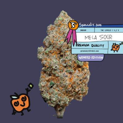 Descubra a premiada flor de CBD na Spannabis 2024