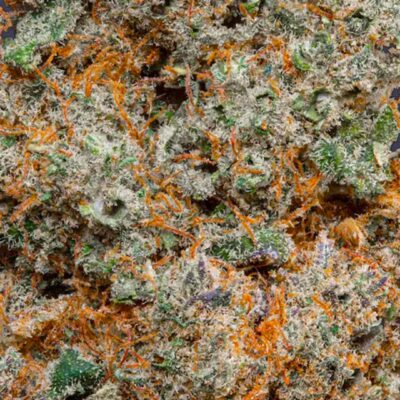 Descubra a premiada flor de CBD na Spannabis 2024