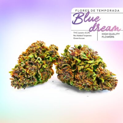 Botões CBD baratos Blue Dream in Greenery 420. Flores de CBD a € 2 por grama com qualidade incrível 