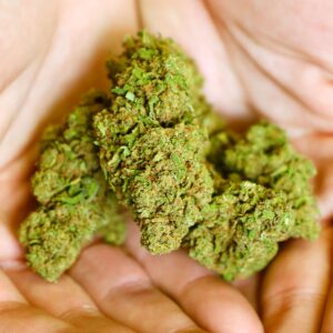 Biscoitos de tangerina com flores de CBD Biscoitos de tangerina CBD Buds baratos na Greenery 420. Flores de CBD a € 2 por grama com qualidade incrível