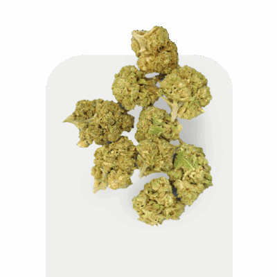 Pipoca CBD Bolo de Frutas