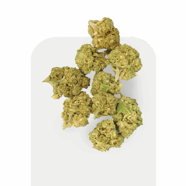 Pipoca CBD Bolo de Frutas