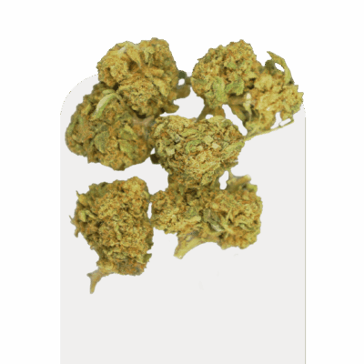 Pipoca da CBD Green Widow, variedade cultivada dentro de casa.