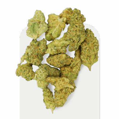 Pipoca da CBD Jet Fuel Indoor, cepa cultivada dentro de casa.