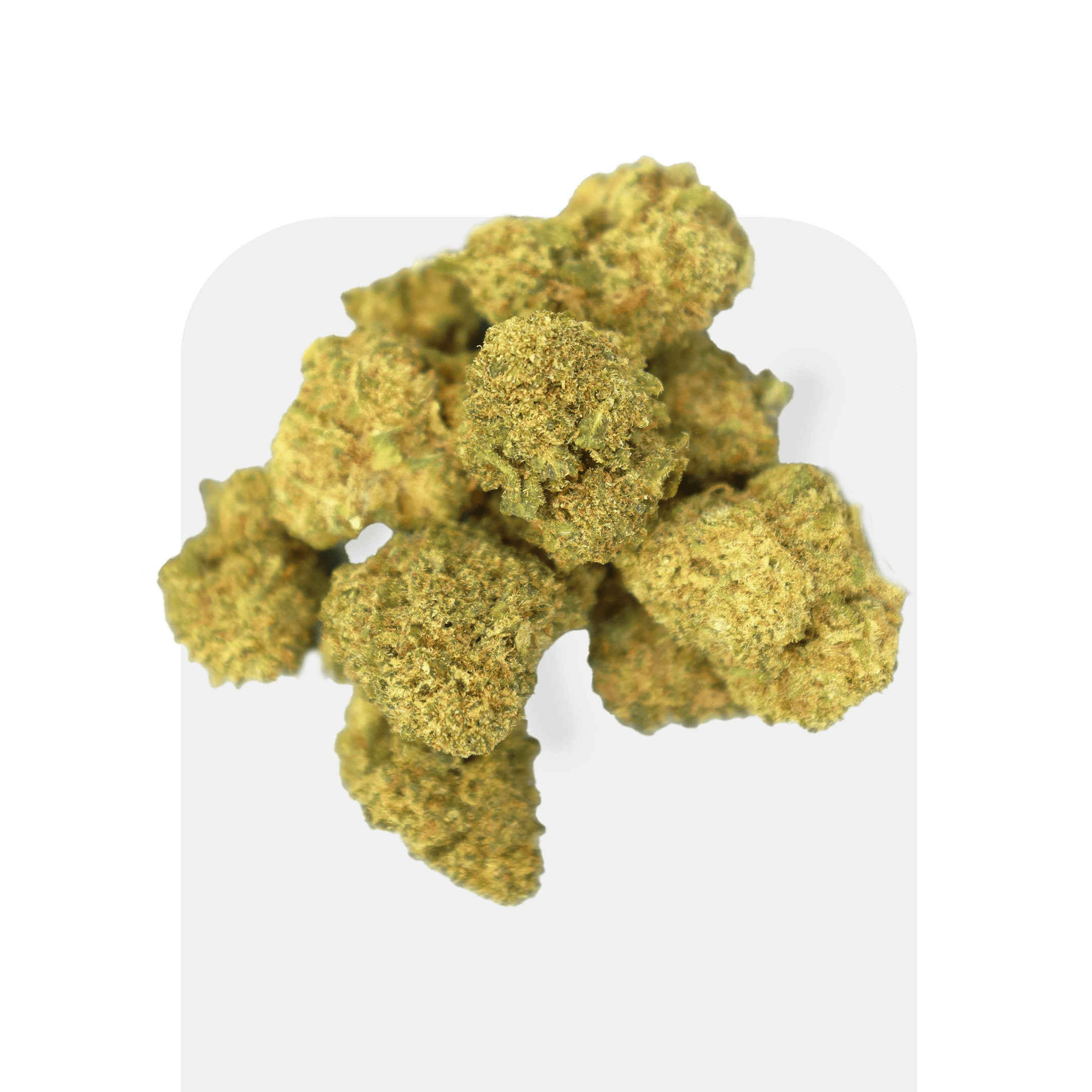 Flores de CBD Popcorn Tropical Runtz da Greenery 420, pequenos botões internos de CBD aromático e frutado.