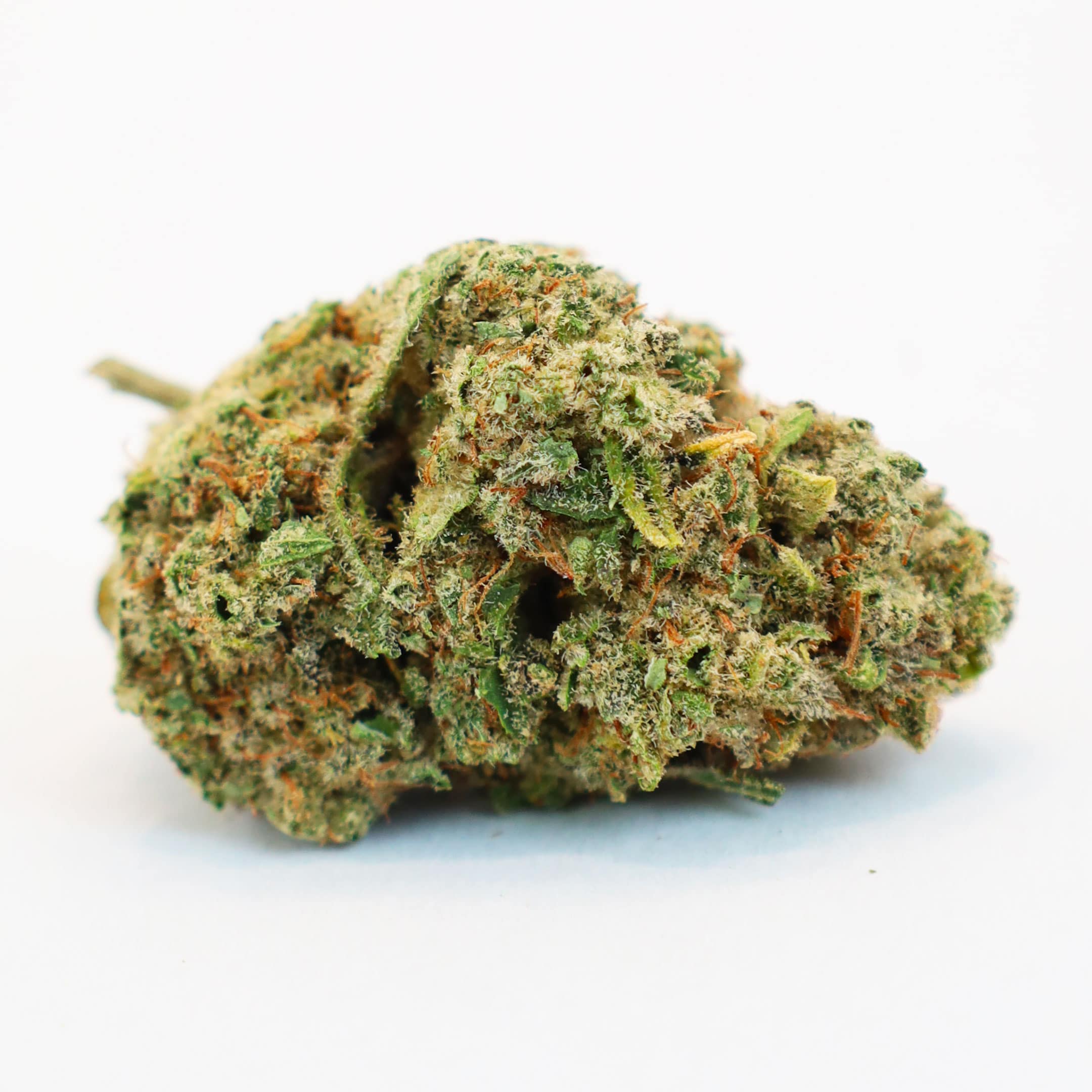 Descubra a nossa variedade Indoor Northern Lights by Greenery420 CBD