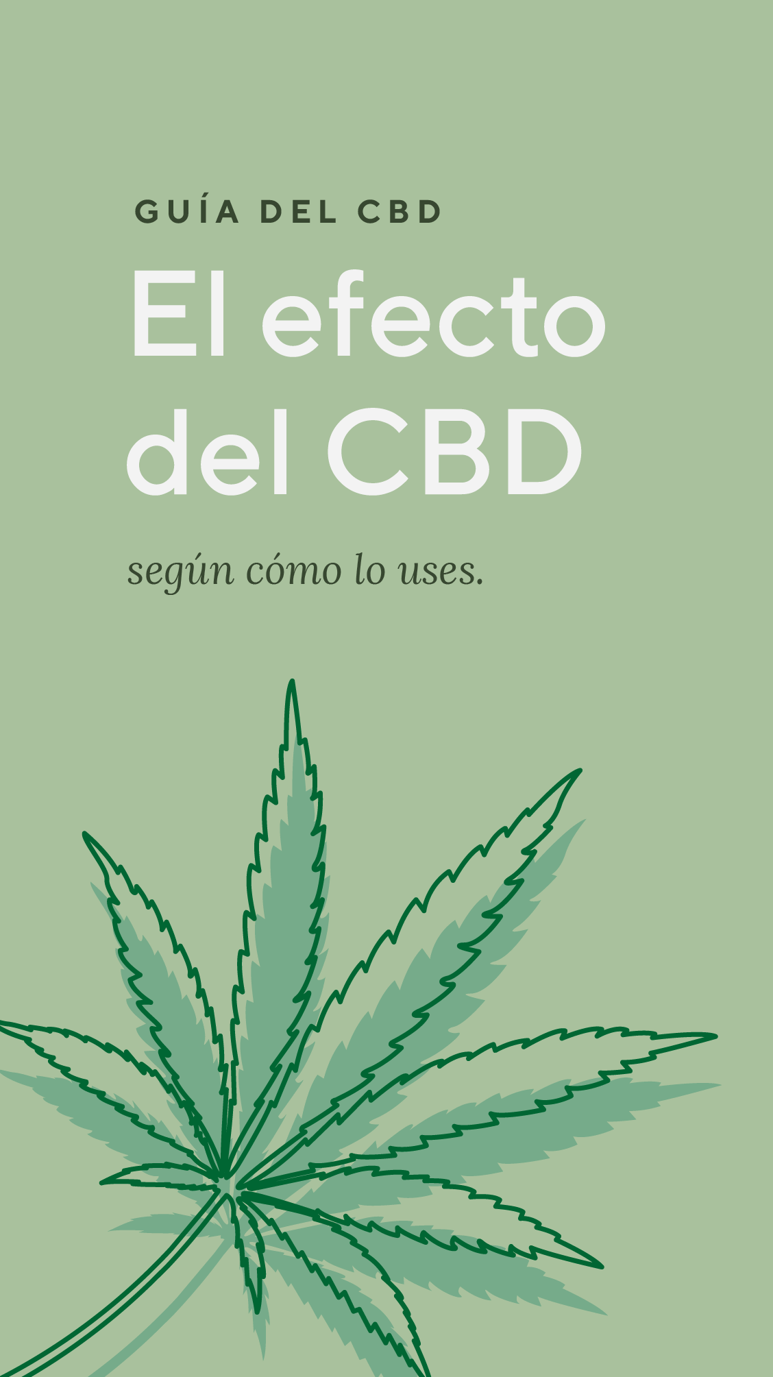 Hoja de cannabis ilustrada sobre fondo verde con texto sobre los efectos del CBD.