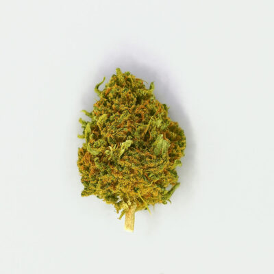 Cogollo de CBD variedad Black Diamond sobre fondo blanco.