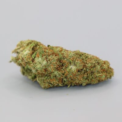 Botão CBD da variedade Tropic Thunder Indoor em um fundo branco.